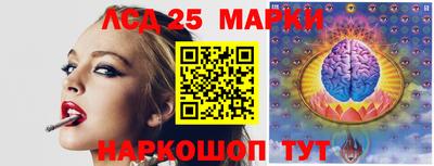 гашик Жуковский