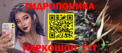 гашик Жуковский