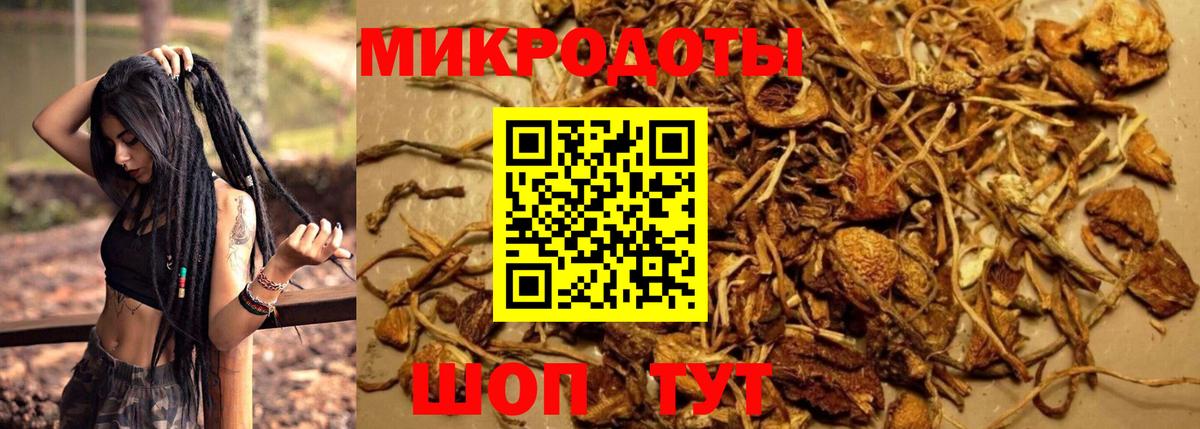 Галлюциногенные грибы прущие грибы  Вход с VPN  Междуреченск 