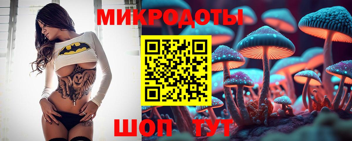 Галлюциногенные грибы Cubensis Междуреченск